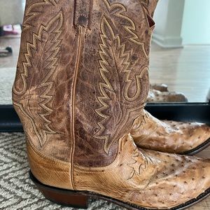 Luchesse Full Quill Ostrich